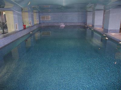 Picture 8